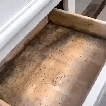 Spray Anti-Mucegai MucegaiSTOP™