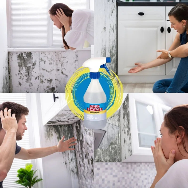 🌿 Spray Antimucegai - Spray-ul care alungă mucegaiul!